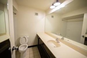 Romine bathroom